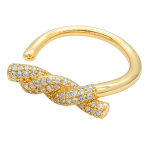 Anillo Trenza